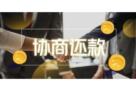 双辽为什么选择专业追讨公司来处理您的债务纠纷？